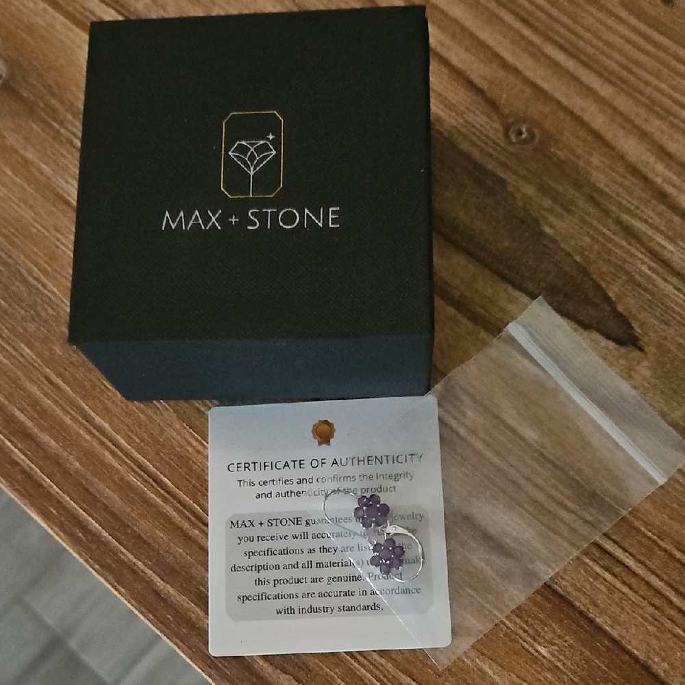 Max + Stone Purple Earrings